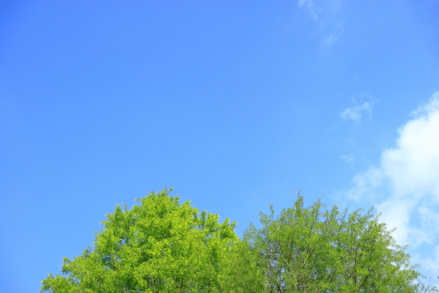 空